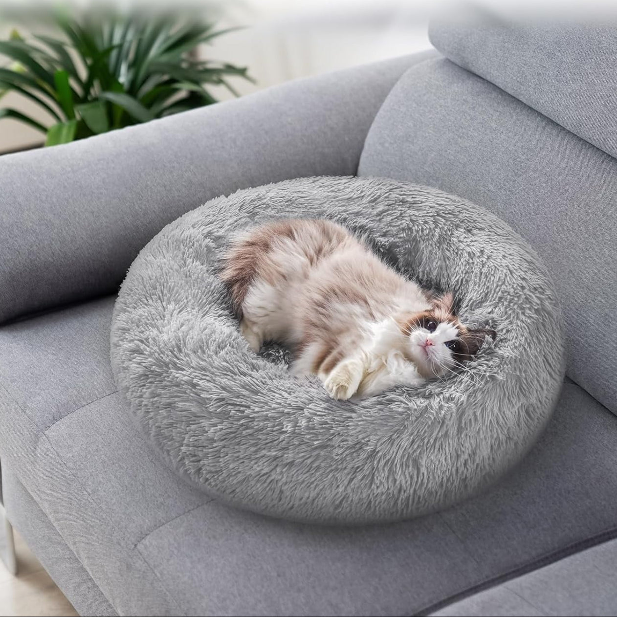CozyNest™ Plush Donut Cat Bed – Self-Warming, Calming Cushion for Cats & Small Dogs