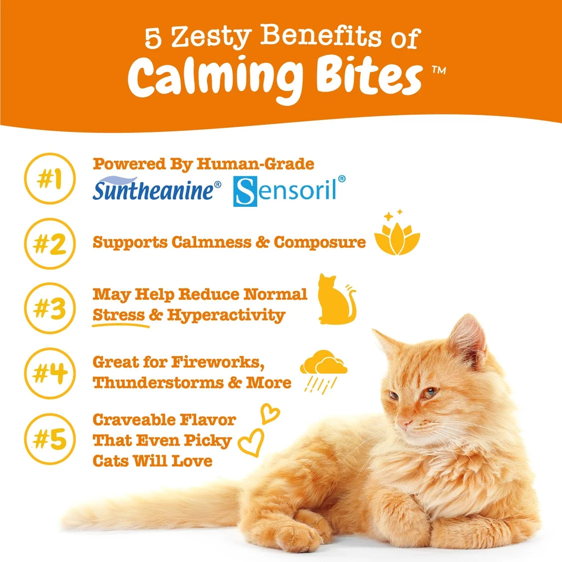 CalmiPaws™ Bacon-Flavored Calming Bites for Cats – Stress & Anxiety Relief Supplement 