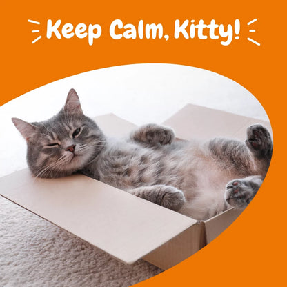 CalmiPaws™ Bacon-Flavored Calming Bites for Cats – Stress & Anxiety Relief Supplement 